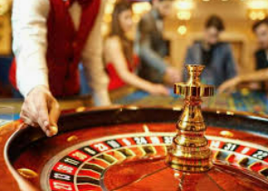 bwin必赢2024最新版